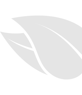 Лист